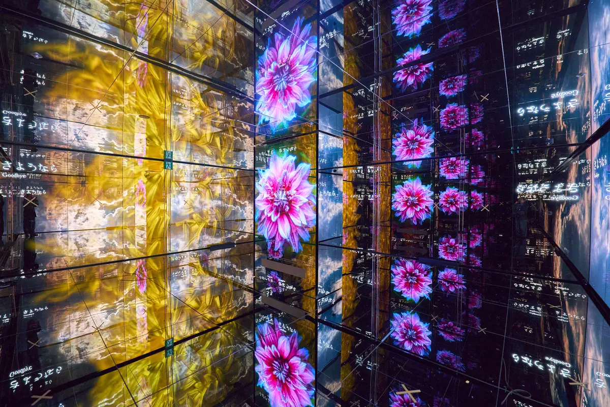 Flowers multiplied across mirrored LED walls