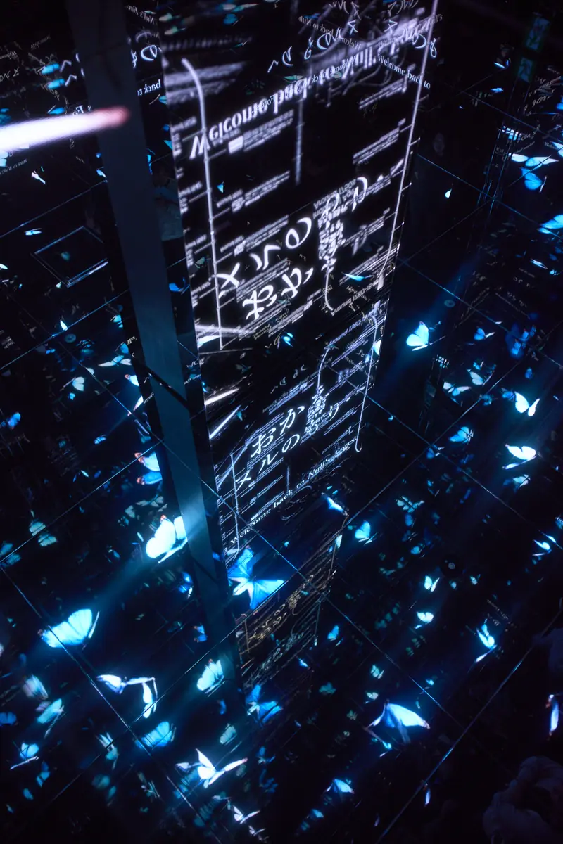 Blue light reflected in mirror membrane